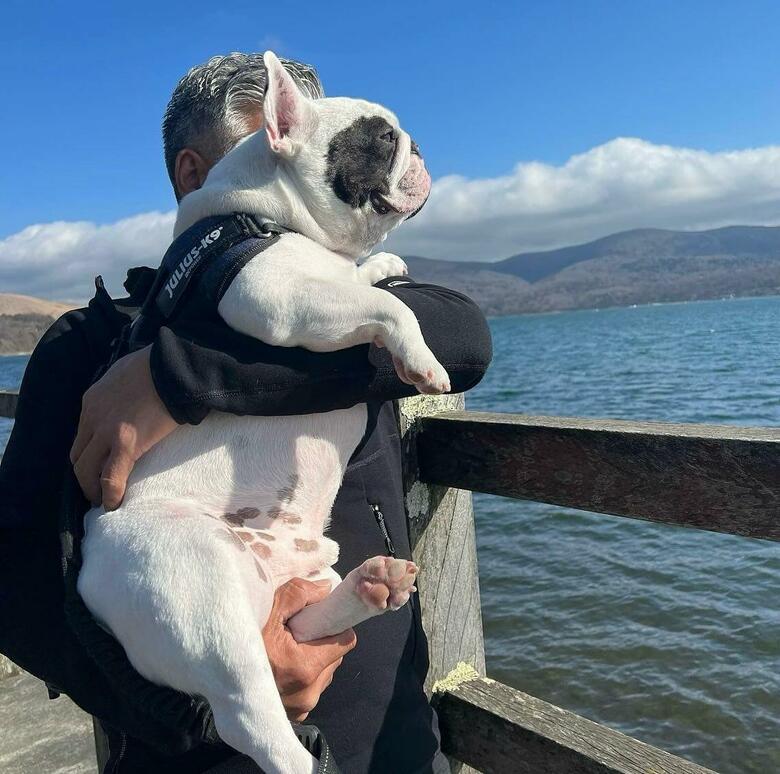 提供：こぶしさん