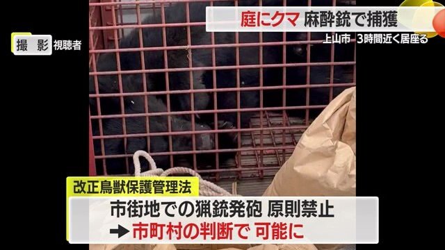 国も、市街地での猟銃の発砲を市町村の判断でできるよう法改正を行い対策を進めている