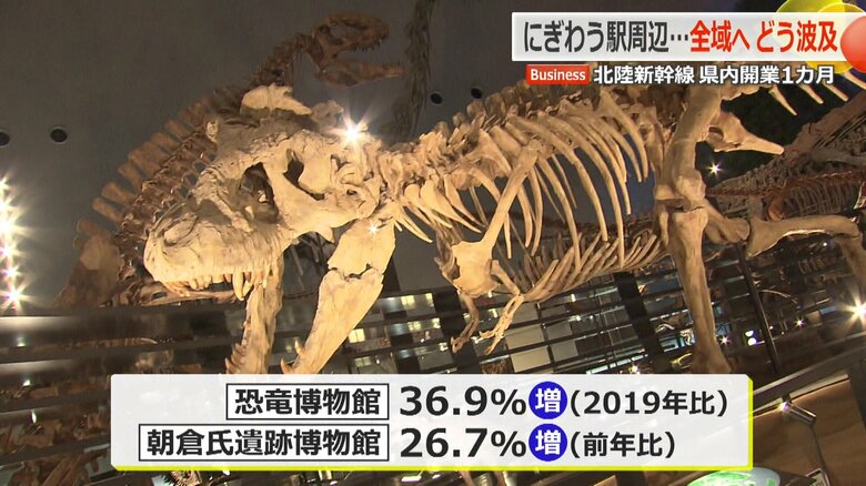 恐竜博物館と朝倉氏遺跡博物館も来場者増加