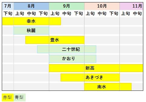 「梨の収穫期カレンダー」でいろいろな品種を食べ比べてみませんか（資料を基に特集班と筆者作成）
