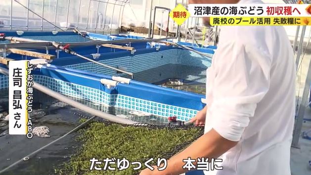 1回目は収穫できず