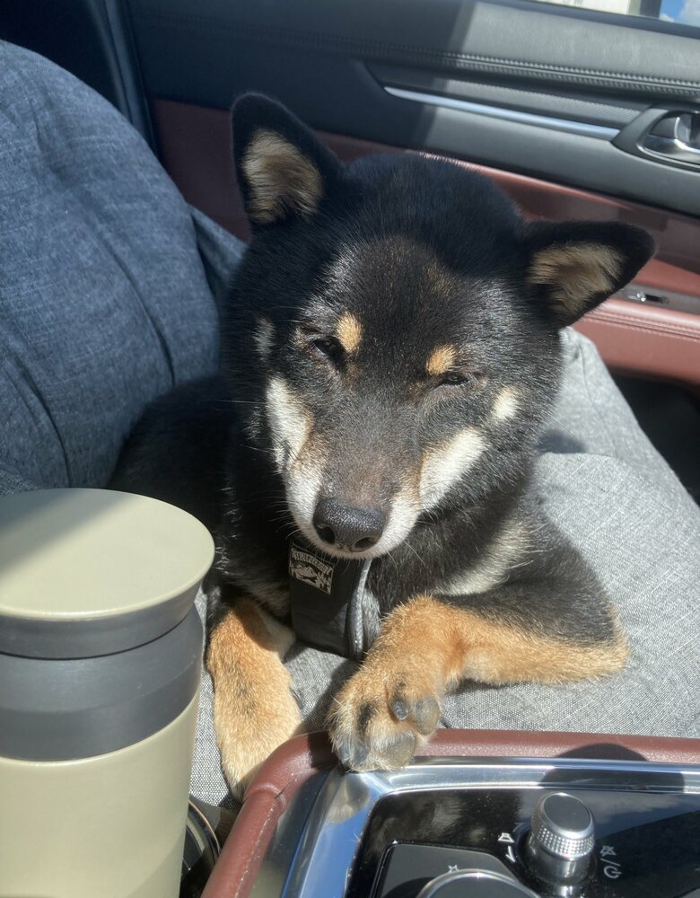 まったり日向ぼっこ中