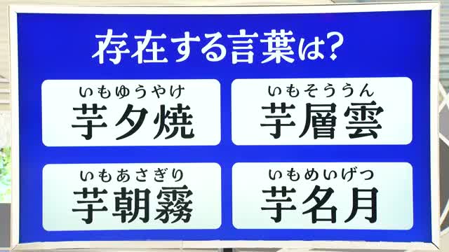 【天気/山形】天気ふりかえり&“芋”がつく存在する言葉は? 中村友祐気象予報士の予報(1)
