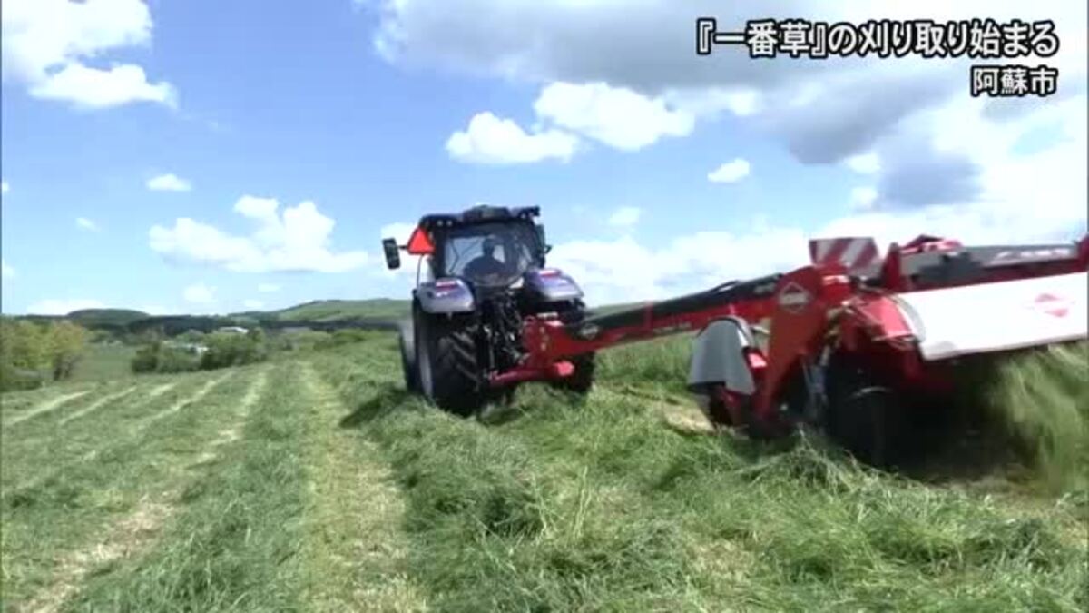 阿蘇の牧草地で牛や馬の冬場のえさとなる『一番草』の刈り取り始まる 阿蘇の牧草地で牛や馬の冬場のえさとなる『一番草』の刈り取り始まる