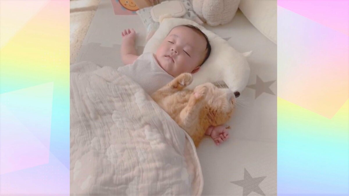 img_8de865533df56fd75c81180ccd