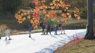 「最高です」 軽井沢町のスキー場がオープン 長野県内では今季最初 青空のもと紅葉と初滑りを楽しむ