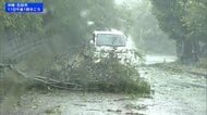 台風9号　倒木や停電被害相次ぐ　西日本中心に危険な暑さに