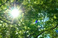 今年の夏は全国的に高温の見通し　気象庁が３カ月予報発表　降水量は平年並み