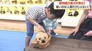 動物園の暑さ対策は？　暑いのは人間だけじゃない【鹿児島】