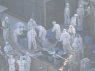 三重県では15年ぶり…津市の養鶏場でニワトリから『高病原性鳥インフルエンザ』約2万5千羽の殺処分を開始