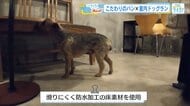 雨の日、愛犬の運動にピッタリ　“隠れ家”パン屋✖️室内ドッグランの意外な組み合わせ　飼い主同士の交流も【広島発】