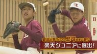 ドラフト1位の荘司投手に続け！剛腕・強打の小学生2人が楽天ジュニアに選出　【新潟発】