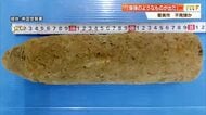 香美市の工事現場で「爆弾のようなもの」発見　75ミリ砲弾と判明も、爆発の危険なし【高知】