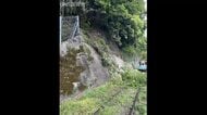 JR予讃線・海回りで“倒木”約２時間に渡り運転見合わせ【愛媛】