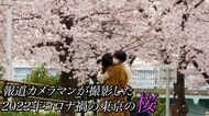 【東京の桜2022】“コロナ禍”の桜～上野公園・目黒川・靖国神社・千鳥ヶ淵・隅田公園・東京タワー・スカイツリー・ウクライナ大使館