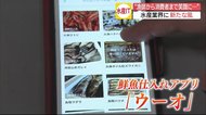 アプリを使った漁業の流通改革 鮮度抜群の魚が手に入り漁師から消費者まで笑顔に