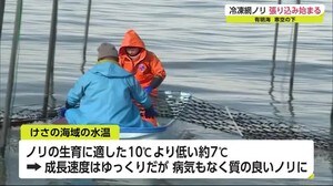 有明海で冷凍網ノリの張り込み始まる【佐賀県】