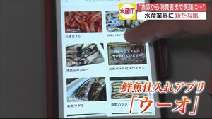 アプリを使った漁業の流通改革 鮮度抜群の魚が手に入り漁師から消費者まで笑顔に