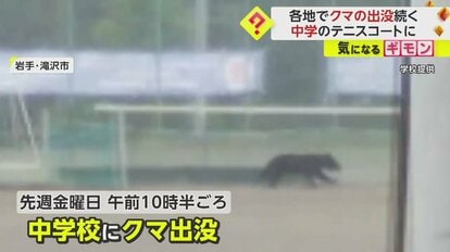 あの怪物始動か】牧場で倒れている生後14カ月の乳牛を発見 ”4年”で牛65