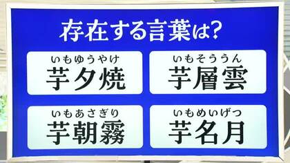 【天気／山形】天気ふりかえり＆“芋”がつく存在する言葉は？　中村友祐気象予報士の予報(1)