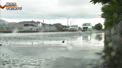【大雨情報】30日夜遅くにかけ土砂災害・低地の浸水・河川の増水に注意警戒 31日夕方までの24時間に中越で80ミリの雨予想　新潟
