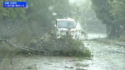 台風9号　倒木や停電被害相次ぐ　西日本中心に危険な暑さに