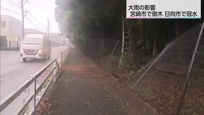 木々とフェンスが根元から倒れこむ…宮崎市で倒木・日向市で道路冠水など各地で影響