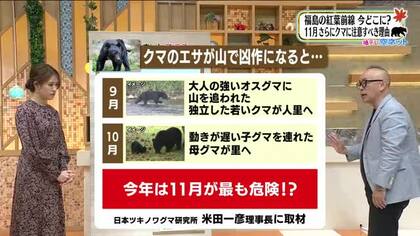 予測が的中！？クマの目撃件数は異例の過去最多に　11月は最も危険な月　冬眠前は要警戒