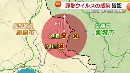養豚大国・鹿児島で豚熱感染　全国の豚肉供給に影響は？