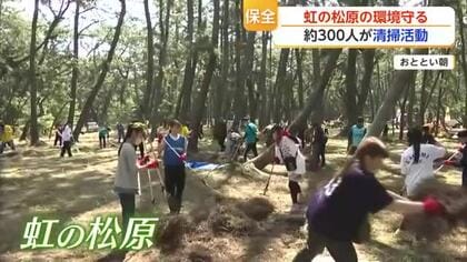 「虹の松原を守りたい」高校生ら300人が清掃活動　松葉や枯れ枝拾いで汗を流す【佐賀県】