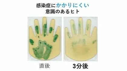 手指にウイルス減らす“バリア機能”があった…どう活用できるのか?発見した花王に聞いた