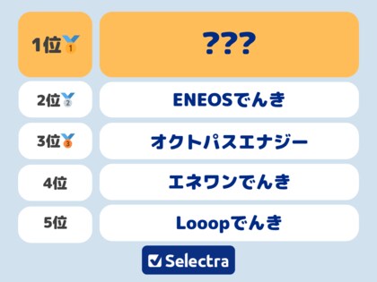 中部エリアで契約したい電気を300人に聞いた!選択の決め手はなんと○○【セレクトラ独自調査】