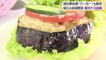 トロットロ食感に甘味がぎゅっ　千年以上の歴史…鯖江の伝統野菜「吉川ナス」初出荷　去年より3千個多い6万5千個を見込む