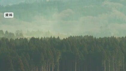 富山県内のスギ花粉は2月28日ごろ飛散　花粉の量は例年よりやや多くなりそう