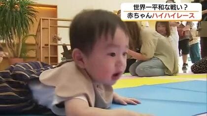 “世界一平和なレース”　赤ちゃんが笑顔と涙…家族の待つゴール目指しハイハイで競争（鳥取）