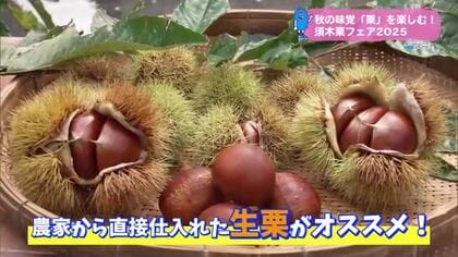 須木栗フェアで旬の栗を味わう【トレリン】