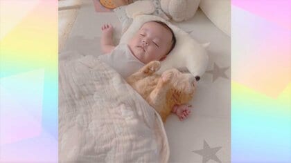 小さな腕枕に身をゆだね“へそ天”…生後4カ月の赤ちゃんとネコが一緒に爆睡 SNSでは「なにこの幸せな世界」