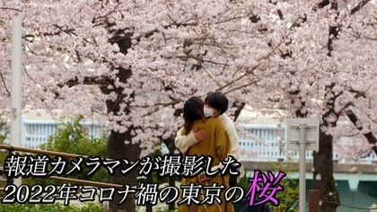 【東京の桜2022】“コロナ禍”の桜～上野公園・目黒川・靖国神社・千鳥ヶ淵・隅田公園・東京タワー・スカイツリー・ウクライナ大使館
