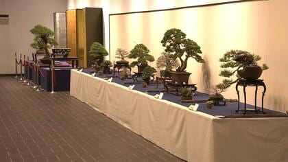天皇皇后両陛下と愛子さま「国風盆栽展」ご鑑賞 中学時代から盆栽好き