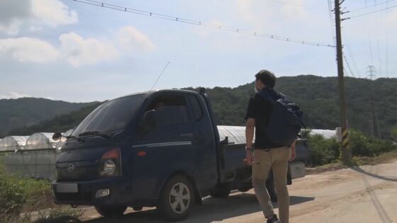 畑に姿を見せた生産者を突撃 ルビーロマンの栽培を認めた