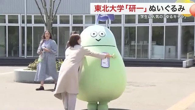 研一の“よちよち歩き”がたまらないというファンも…付き添いスタッフがサポートする