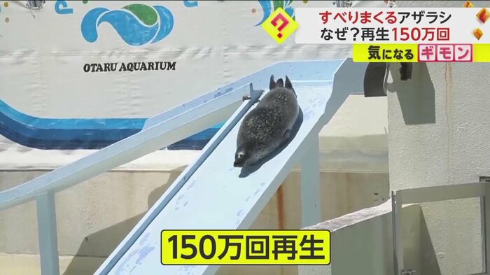 SNSで動画は150万回再生