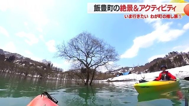 水深5メートルの所に立つ1本のシロヤナギの木