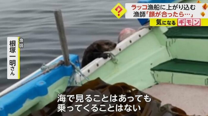 (撮影:根塚一明さん)