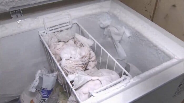 食材を有効活用するため急速冷凍し保存する