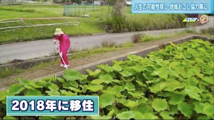 志和町でハスの葉を収穫する森口さん