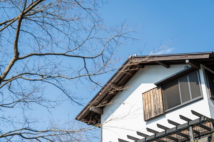 所有者不明の土地は適切に管理されていないことが多い(画像:イメージ)