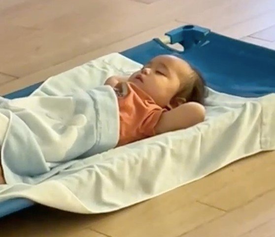 両腕を頭の後ろで組んで寝るれいちゃん(提供:awarireさん)