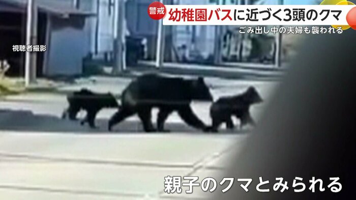 幼稚園バスに近づく親子のクマ