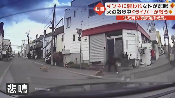 悲鳴を上げた女性は、散歩中の犬を守るようにしゃがみ込む